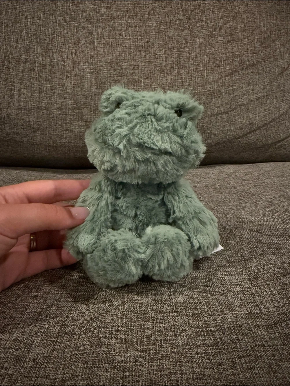 Squiggles Frog Jellycat